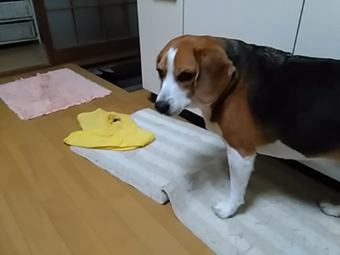 14912663800.jpeg