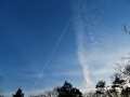 飛行機雲の空