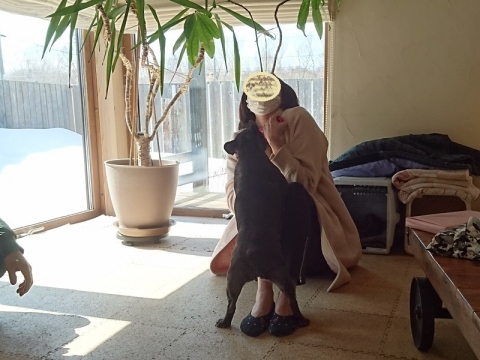170327 (5)
