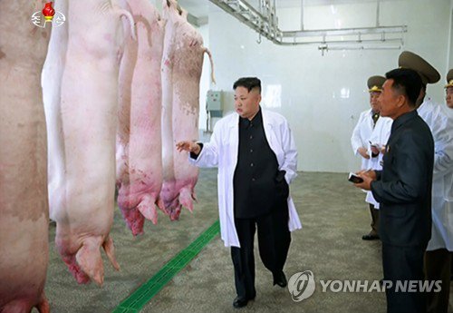 　【平壌共同】朝鮮中央通信は２３日、北朝鮮の金正恩朝鮮労働党委員長が平安北道にある空軍所属の養豚場を視察したと報じた。