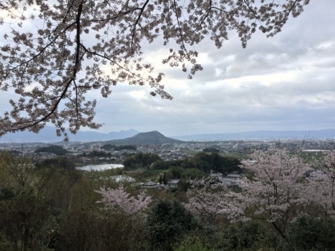 甘樫丘からの眺め 2017年4月