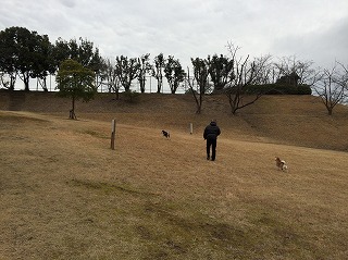 明徳公園2017/2/20　犬の散歩