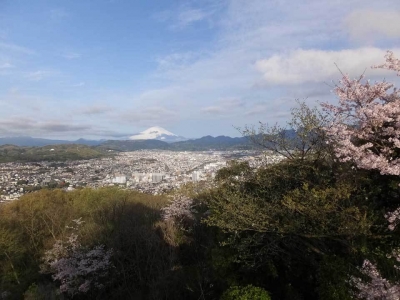 権現山展望台から秦野市街の向こうに富士山