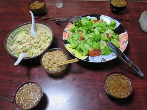 ゴーヤちゃんぷるー、グリーンサラダ、モヤシと揚げ玉の味噌汁