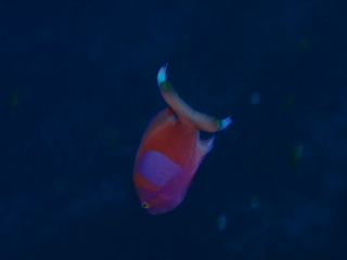 170428blogc.jpg