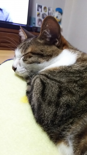 DSC_7134.jpg