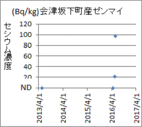 上昇する会津坂下町産ゼンマイのセシウム濃度