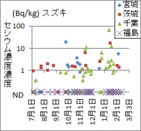 他県ではも使っても福島産からは見つからないスズキのセシウム