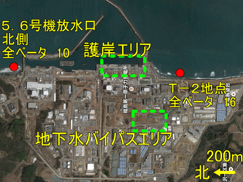 最大で１６（Ｂｑ／ｋｇ）の全ベータが見つかった福島第一の海岸