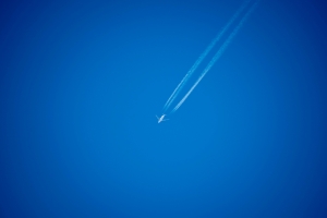 あしかがフラワーパーク飛行機雲と飛行機
