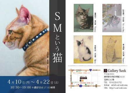 SMという猫　Gallery Seek