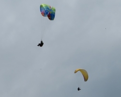 s17050605.jpg