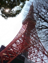春の東京タワー。