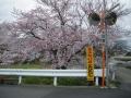 IMGP3206.jpg