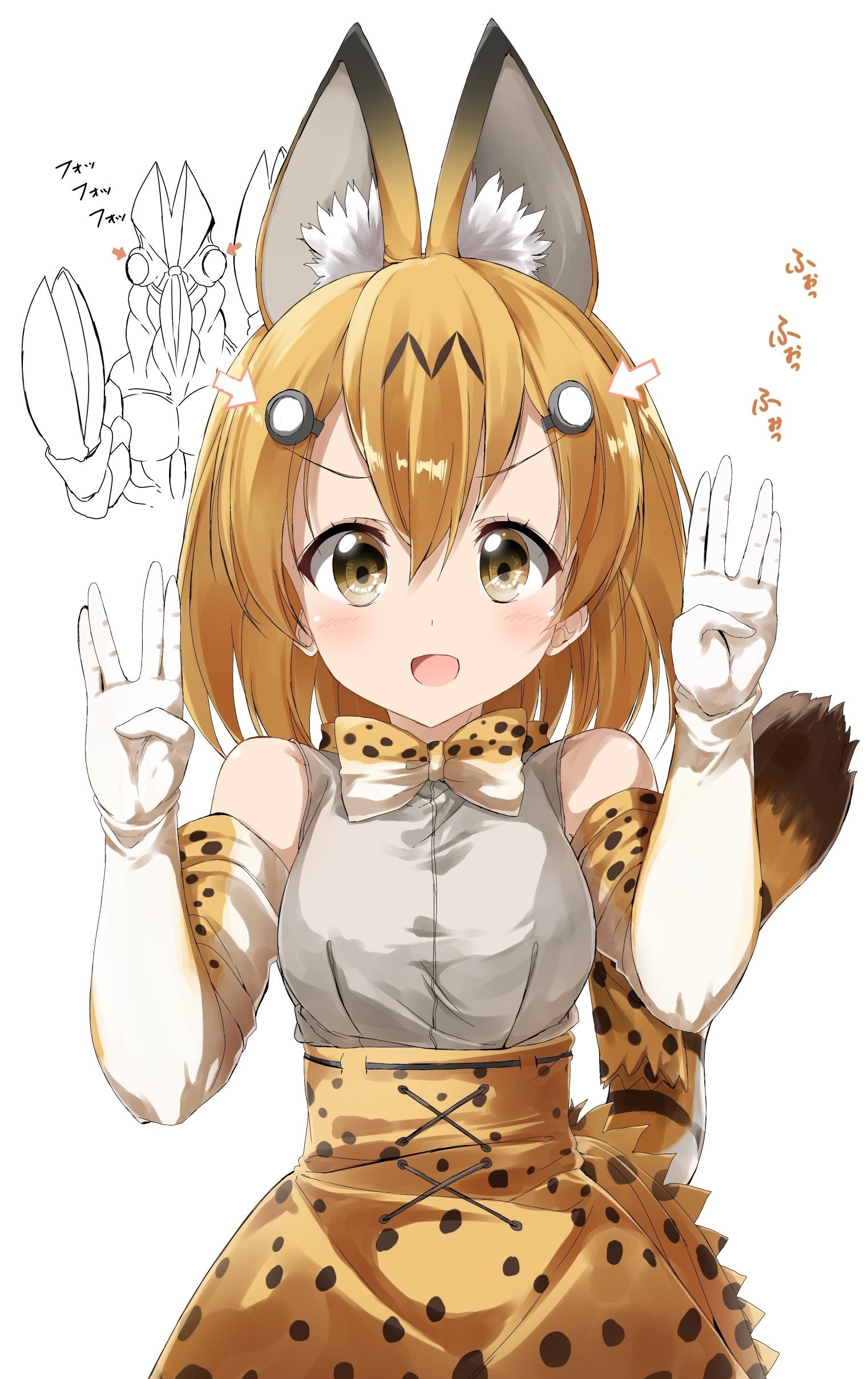 Images Of フレンズ Japaneseclass Jp