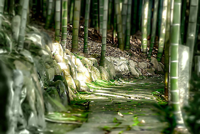 竹と石畳ロケーション