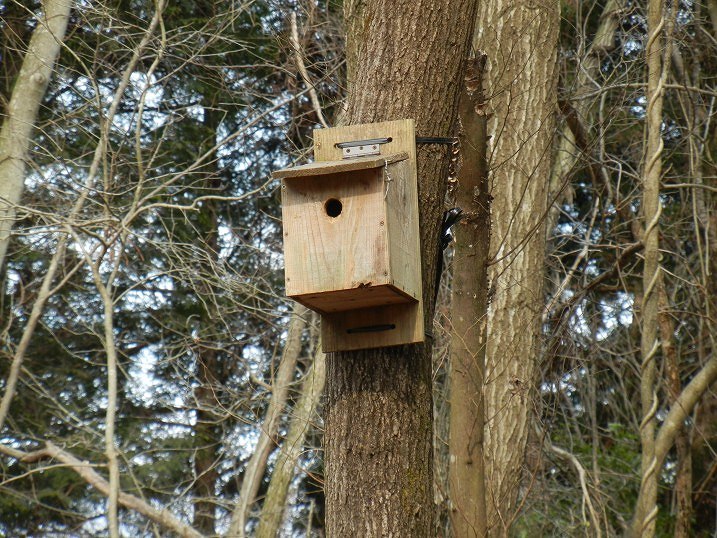野鳥用の巣箱設置 | ENJOY THE FRUITS