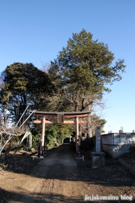 久伊豆神社（蓮田市駒崎）1