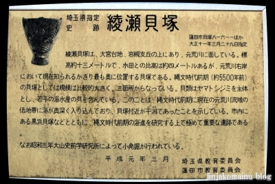 貝塚神社(蓮田市貝塚)11
