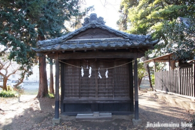 氷川神社（さいたま市見沼区丸ケ崎町）16