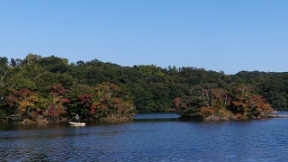 20161105一碧湖100