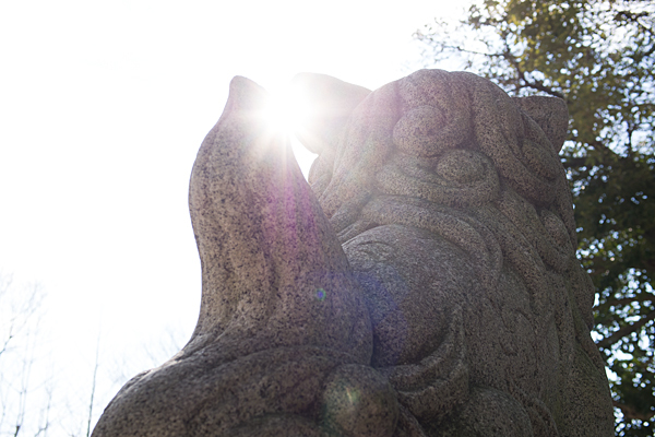 六所神社狛犬と太陽