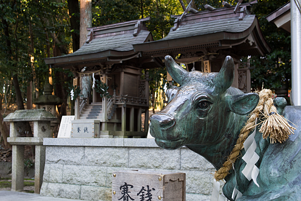 針名神社天神社と牛