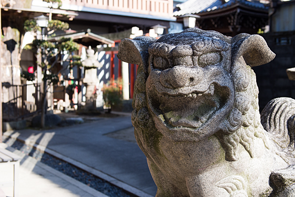 松山神社狛犬