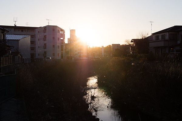 植田川と夕陽