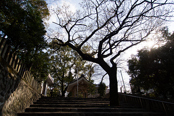新栄白山神社北階段