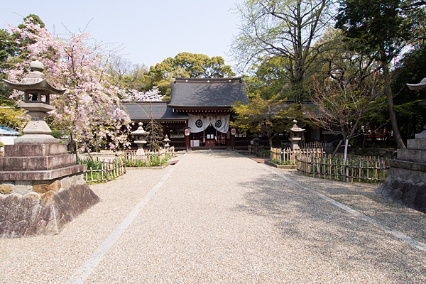 富部神社参道と拝殿