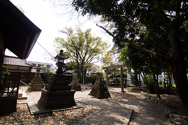 桜神明社境内の風景