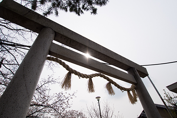 大乃伎神社鳥居と太陽
