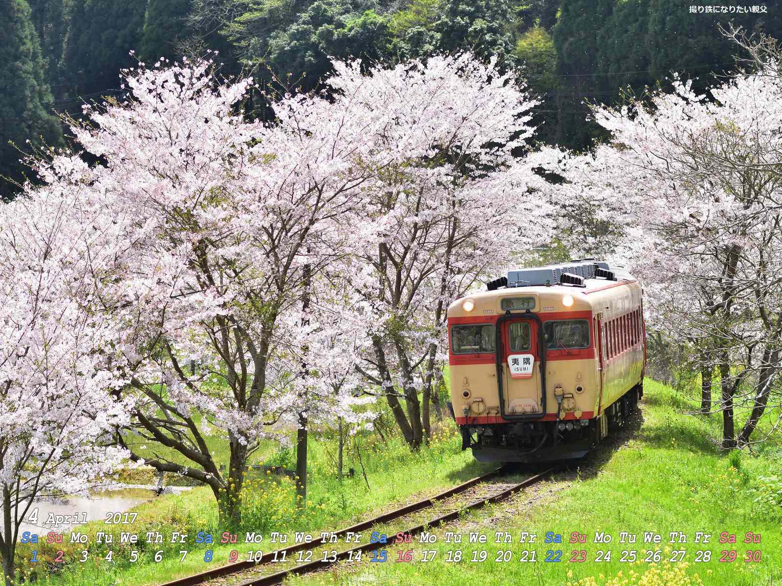 撮り鉄になりたい親父 2017年4月壁紙カレンダー いすみ鉄道 桜とキハ28