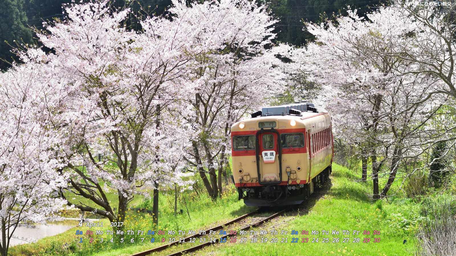 撮り鉄になりたい親父 17年4月壁紙カレンダー いすみ鉄道 桜とキハ28